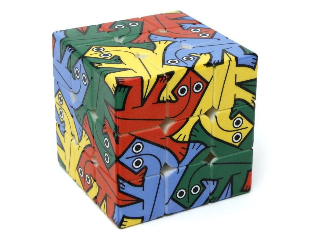 Cubo Mágico 3x3 Personalizado Lizard da Vinci Cube com impressão UV de lagarto nas faces coloridas